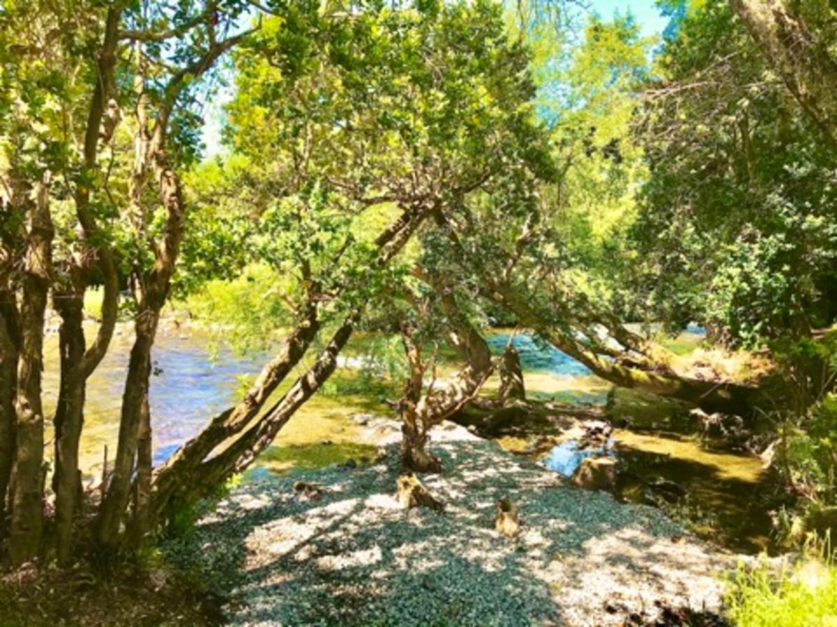 Elementos Eco Lodge Пукон Екстер'єр фото